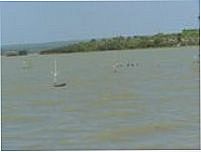 Lagoa do Bacuri, Por antonio